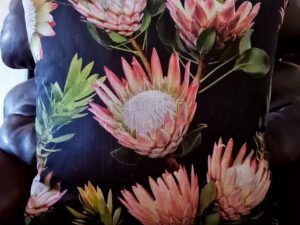 PROTEA DECOR CUSHIONS