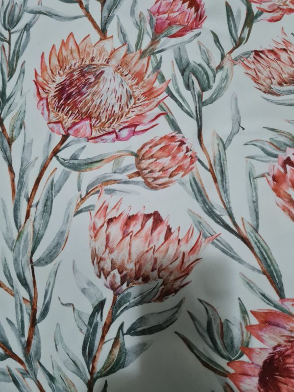 PROTEA 1 - Image 3