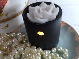 SCENTED WAX MELTS